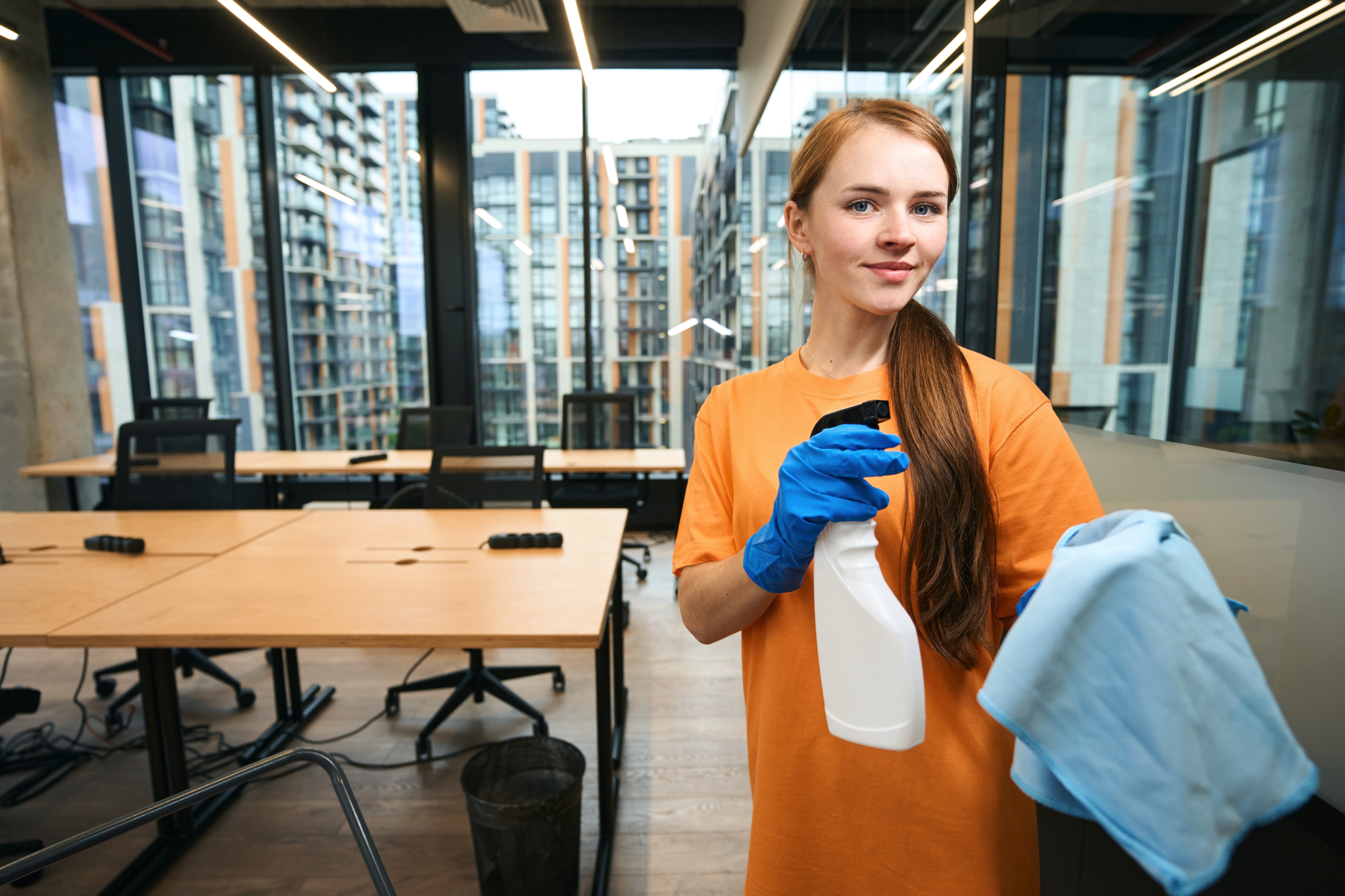 Professional cleaning services in Auburn